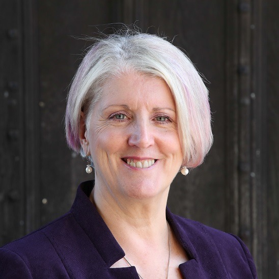 Photo of Dr Lynne Sedgmore CBE, Chair of the Glastonbury Town Deal Board